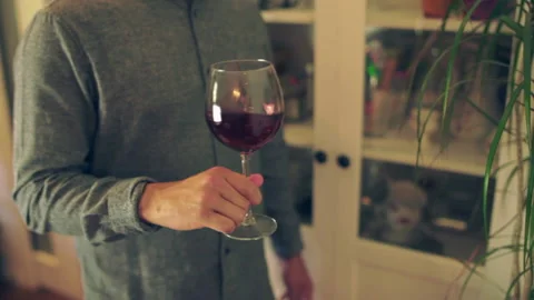 WINE TASTING Stock Footage 130801991