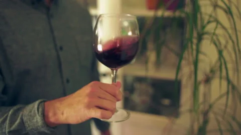 WINE TASTING Stock Footage 130802016