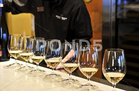 Wine tasting glasses Stock-Fotos