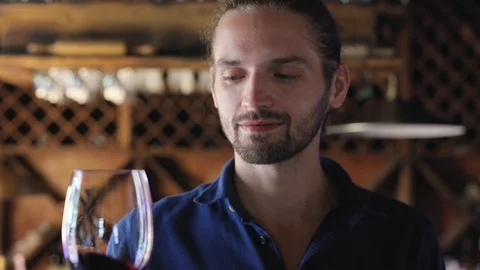Wine Tasting. Man Smelling, Drinking Red Wine At Winery Cellar Stock Footage 100214042