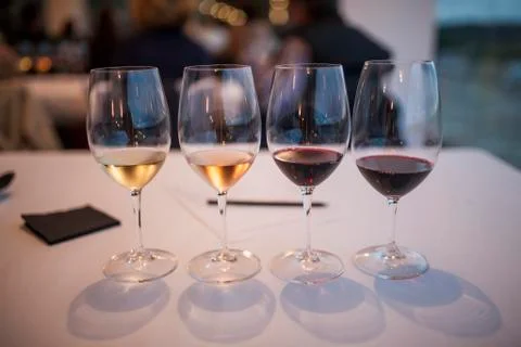 Wine tasting Stock Photos