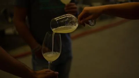 Wine tasting Stock Photos