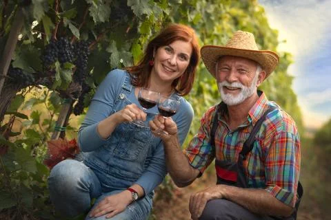 Wine tasting Stock Photos