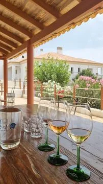 Wine Tasting Setup on Rustic Terrace With Countryside View Фото