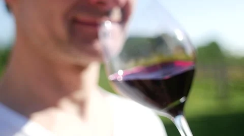 Wine tasting - smelling Video stock 64655031