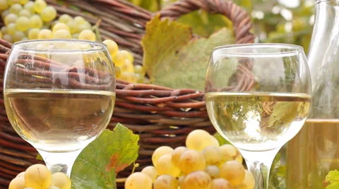 Wine Tasting In A Vineyard Video stock 41568262