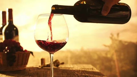 Wine tasting in the vineyard Stock Footage