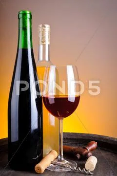 Wine tasting in winery Stock Photos