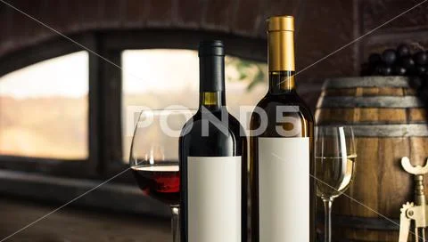 Wine tasting at the winery Stock Photos