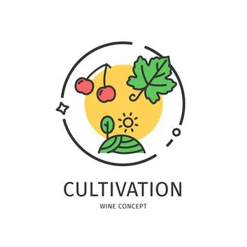 Wine Thin Line Icon Concept. Vector Stock Illustration