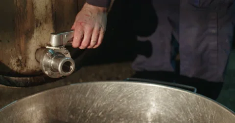 Wine valve 스톡 동영상 67983058