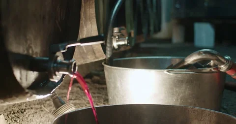 Wine valve 스톡 동영상 70051066