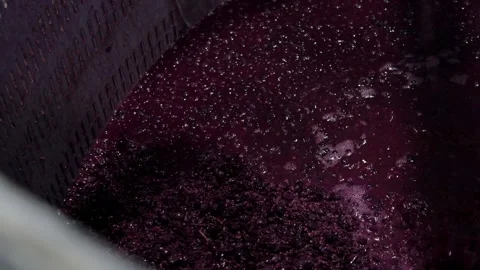 Wine vats Stock Footage 245593748