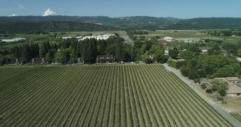 Wine vineyard field rows. High drone aerial of farmlands Stock Footage 110921772