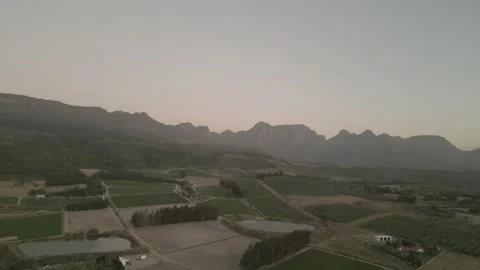 Wine vineyards with the sunset falling on the mountains in the background Stock Footage 318070052