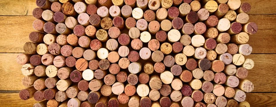 Wine wall. Stock Photos