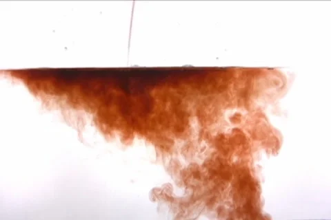 Wine in water Video stock 907294