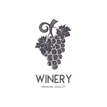 Wine, winery logo template. Drink, alcoholic logotype, beverage symbol, monogram Stock Illustration