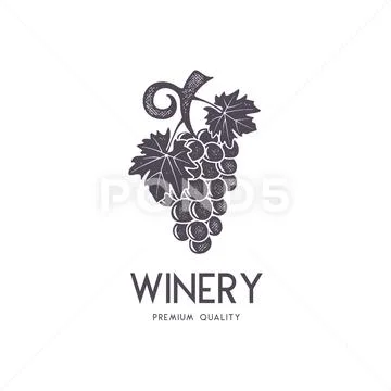 Wine, Winery Logo Template. Drink, Alcoholic Logotype, Beverage Symbol, Monogram