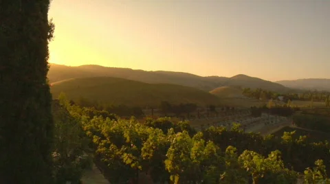 Wine_country01 Stock Footage 266930