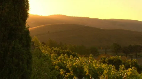 Wine_country02 Stock Footage 266933