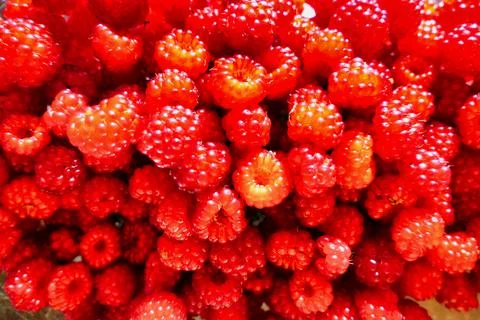 Wineberries Stock Photos