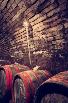 Winecellar Stock Photos