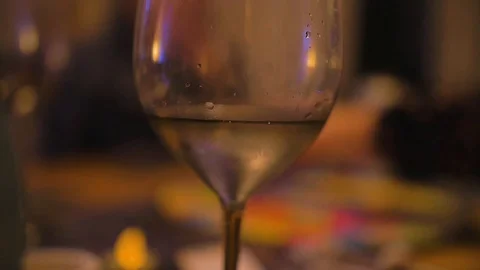 Wineglass Slow Motion 1 Stock Footage 101478938