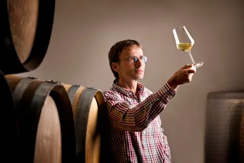 Winemaker analyzing a glass of white wine in cellar. Stock Photos