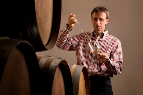 Winemaker in cellar making wine test. Foto stock