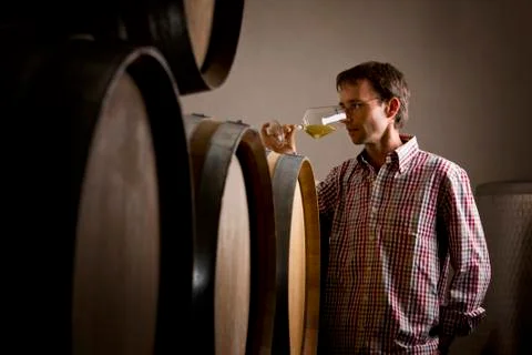 Winemaker in cellar smelling white wine in glass. Foto stock