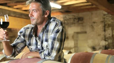 Winemaker checking red wine quality in wine cellar Stock Footage 14834119