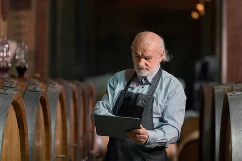 Winemaker checking a wine aging in barrels data, using a touchpad tablet Fotos de archivo