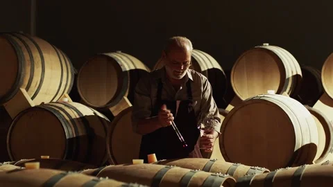 Winemaker Checking On Wine By Sampling Pipette . Man Testing Wine In A Factory Stock Footage 132580978