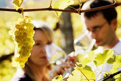 Winemaker couple tasting wine Foto stock