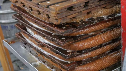 Winemaker farmer working on a traditional wine press. Stock Footage 167659221