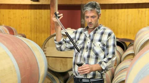 Winemaker getting sample of red wine from barrel Stock Footage 14834079