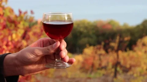 A winemaker with a glass of wine Stock Footage 81573710