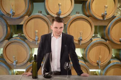 Winemaker inspecting quality of red wine, standing near bottles racks in wine Stock Photos