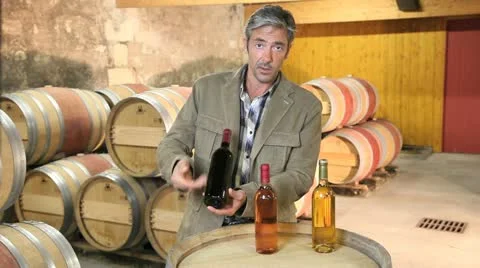 Winemaker making presentation of wine products Stock Footage 14834076