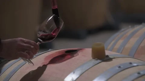 Winemaker Making Wine Test in Winery Cellar Stock Footage 150381582