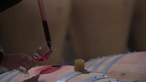 Winemaker Making Wine Test in Winery Cellar Stock Footage 150381608