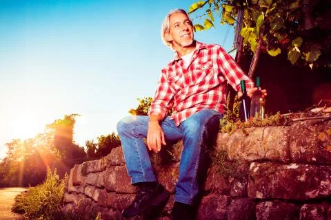 Winemaker Sitting By His Vineyard 写真素材