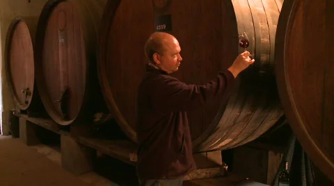 Winemaker sniffs wine in ancient cellar sepia wide Stock Footage 765100