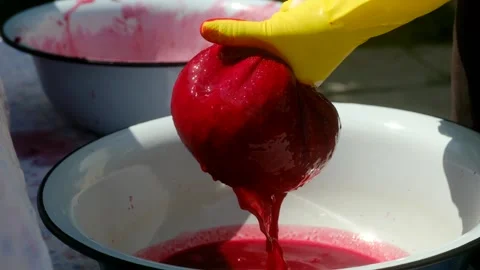 Winemaker squeezing cherry juice into a basin Stock Footage 313643139