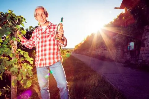Winemaker Standing By His Vineyard Stock-Fotos
