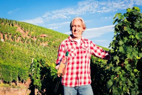 Winemaker Standing By His Vineyard Stock-Fotos