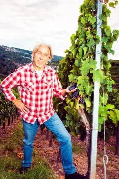 Winemaker Standing By His Vineyard Stockfoto's