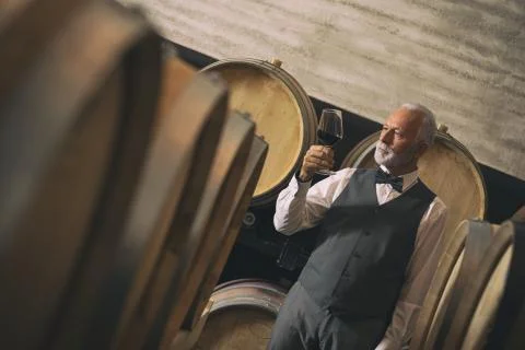 Winemaker studying and tasting the red wine in cellar Stock Photos