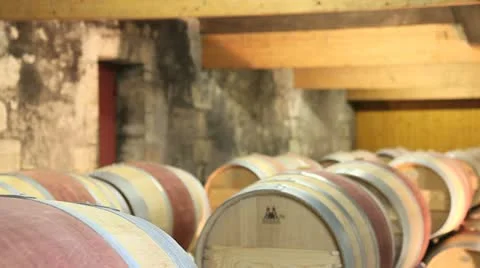 Winemaker talking to camera in winery Stock Footage 14834255